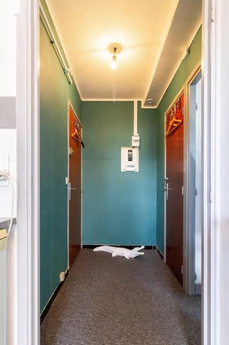 Double Appartement, Saint Michel, Parking, Wifi Toulouse Ngoại thất bức ảnh